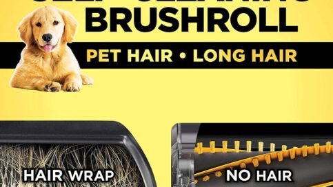 Best Cordless Vacuum For Pet Hair