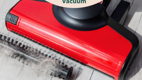 Electrolux Ergorapido Vacuum