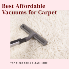 Best Affordable Vacuum for Carpet