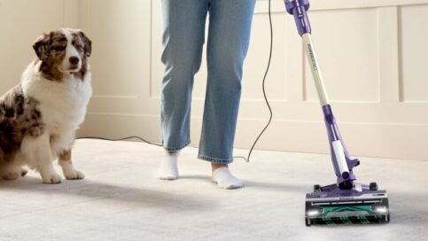 Self-Cleaning Brushroll for No Hair Wrap
